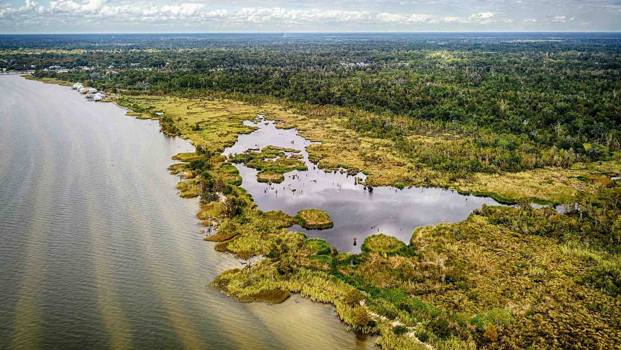 New Orleans coastline